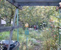 Garten 2