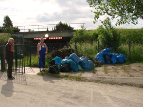 2010_29
