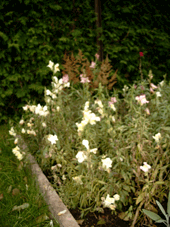 Sep_4 Sep_4